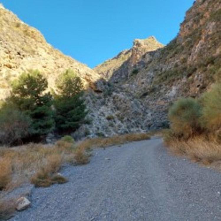 Casa Buenavista Albunol Daire Dış mekan fotoğraf